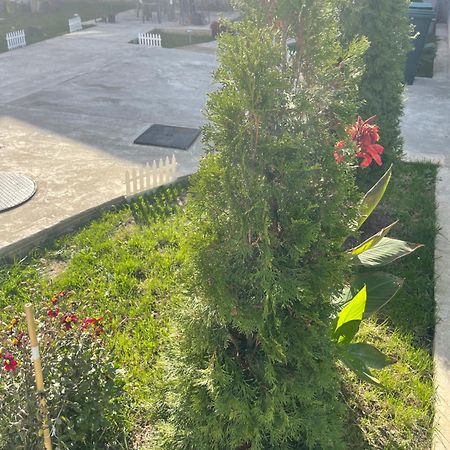 Casa Roa Slănic Exterior foto